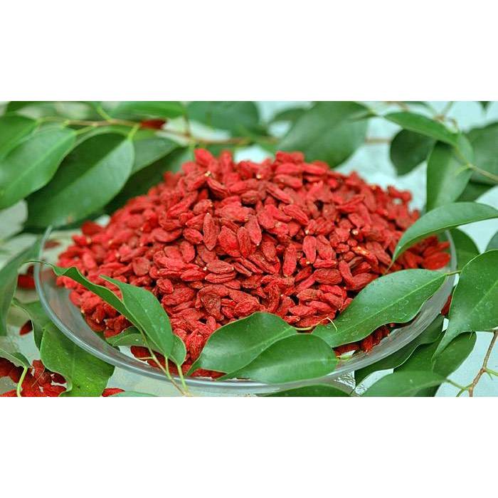 goji berry gojiberry kurt üzümü mutluluk meyvesi indirimli ucuz toptan satın al 