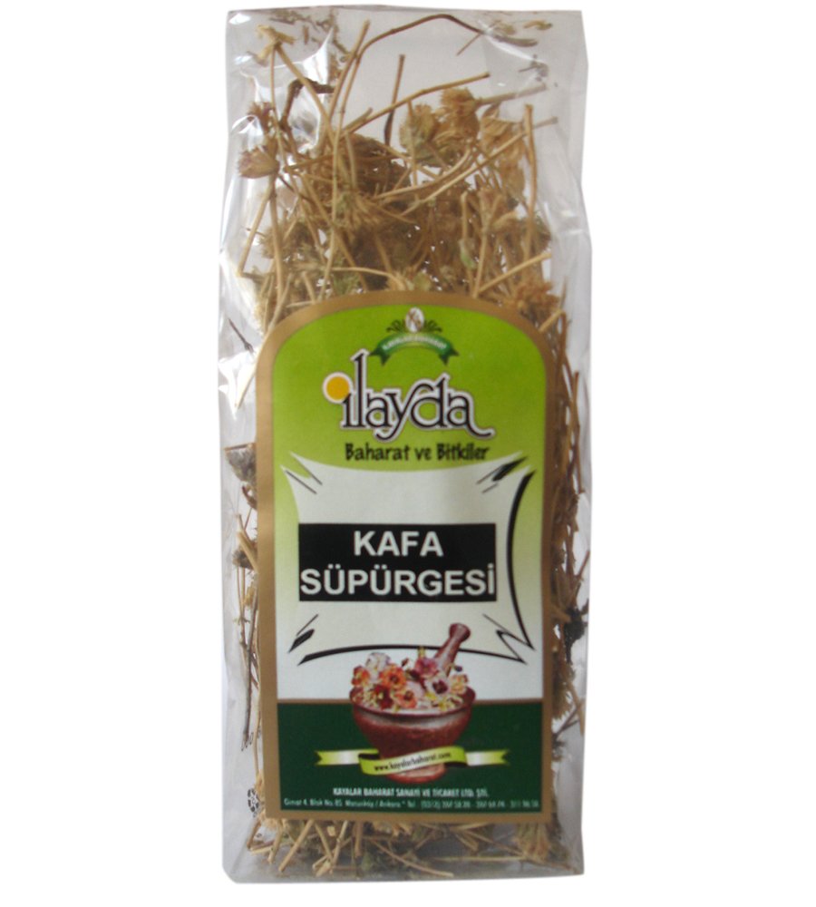 Kafa Süpürgesi Otu Bitkisi