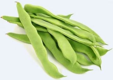 Alman Ayşe Fasulye Tohumu -50 adet