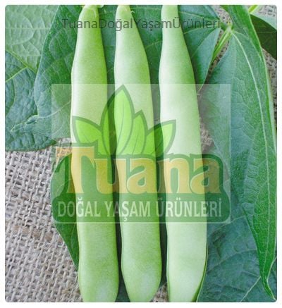 Simbo Oturak Fasulye Tohumu - 50 adet