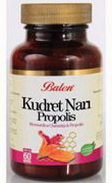 Kudret Narı ve Propolis