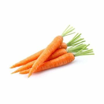 Nantes Havuç Tohumu - 50 Adet