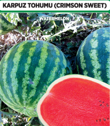 Karpuz Tohumu - Crimson Sweet