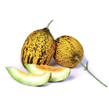 Kırkağaç Kavun Tohumu 589- 100 adet