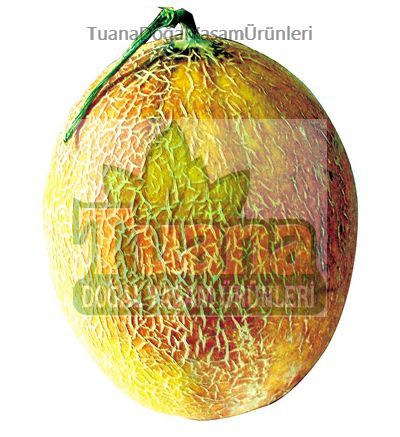 Ananas Kavun Tohumu - 50 adet