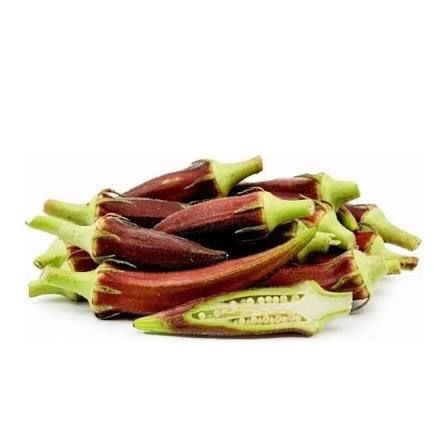 Kınalı Bamya Tohumu 20 adet