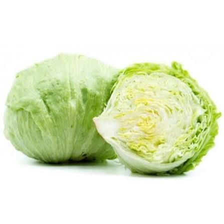 Iceberg Tohumu -100 adet