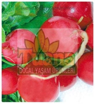 İri Kırmızı Turp Tohumu-100 adet