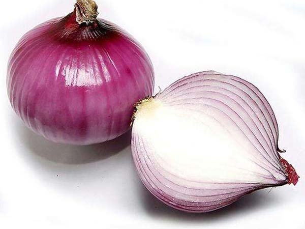 Mor Soğan Tohumu 50 adet