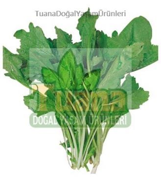 Tere Tohumu 100 Adet