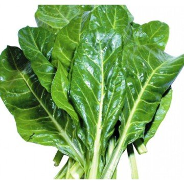 Pazı Tohumu 25 adet