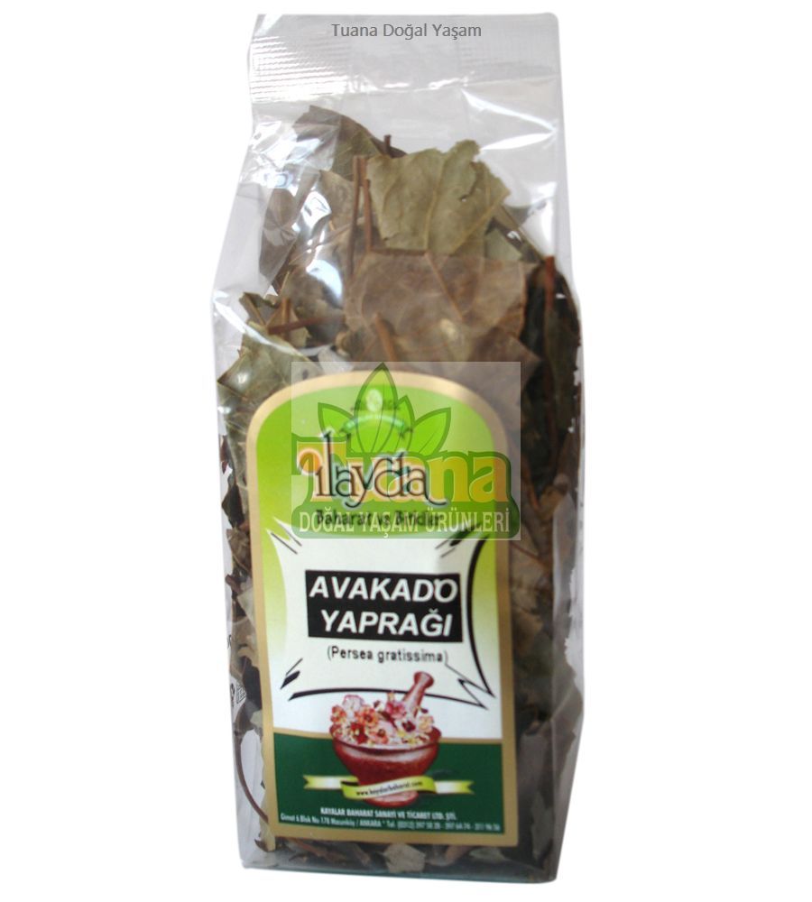 AVAKADO YAPRAĞI