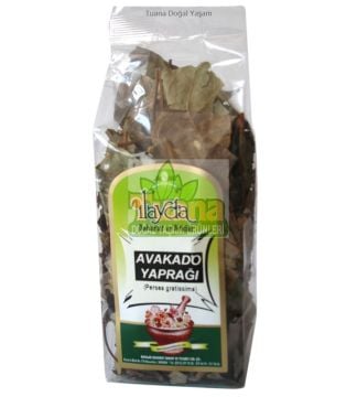 AVAKADO YAPRAĞI