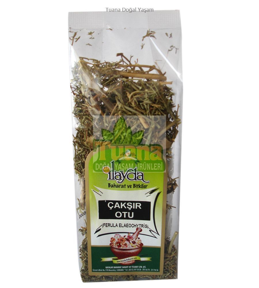 ÇAKŞIR OTU KÖKÜ