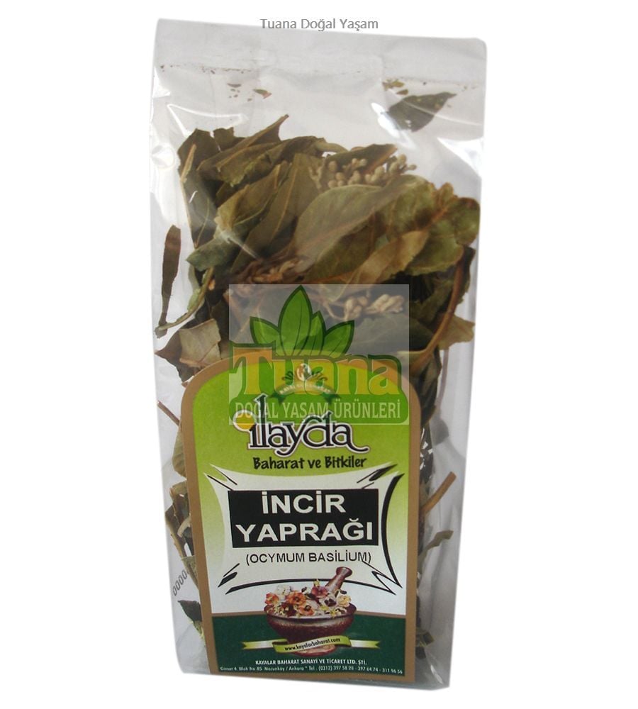 İNCİR YAPRAĞI