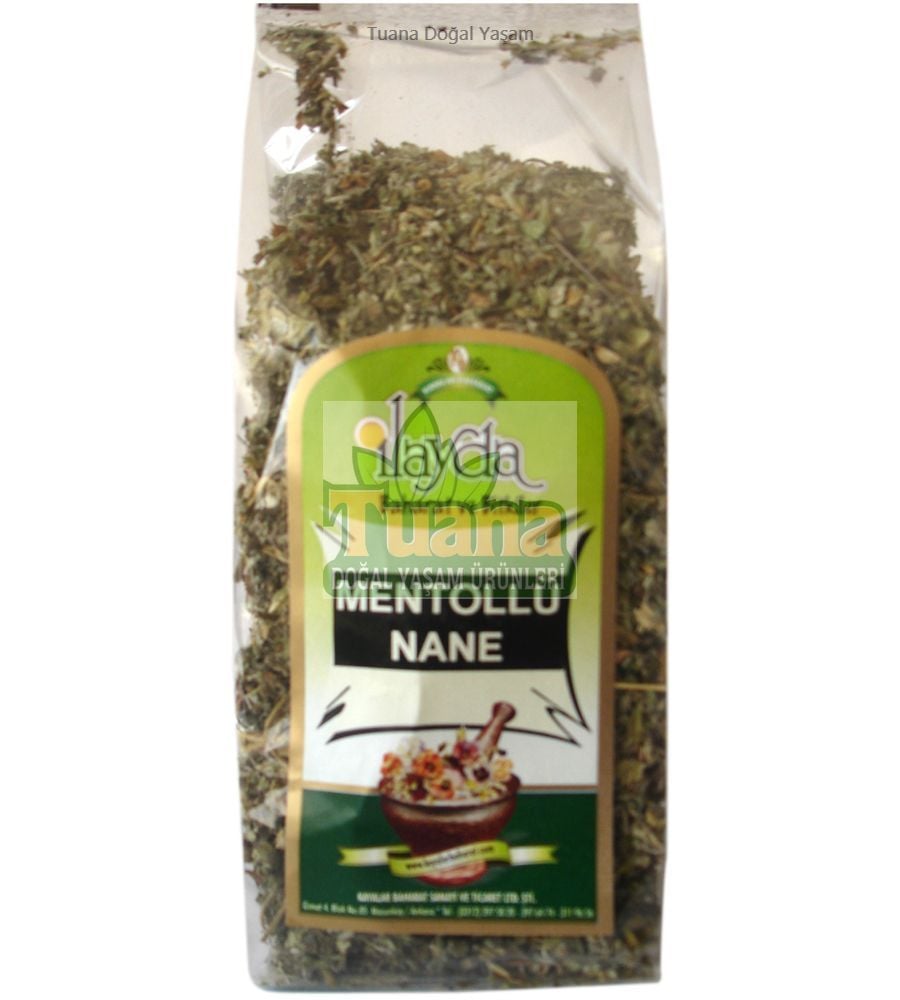 MENTOLLÜ NANE
