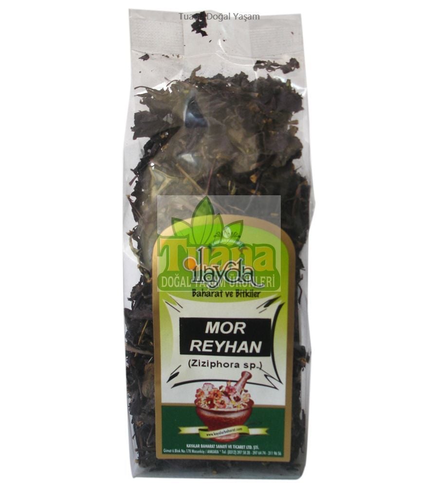 MOR REYHAN
