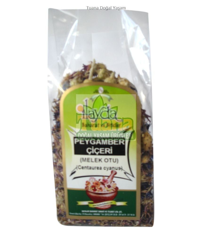 PEYGAMBER ÇİÇEĞİ