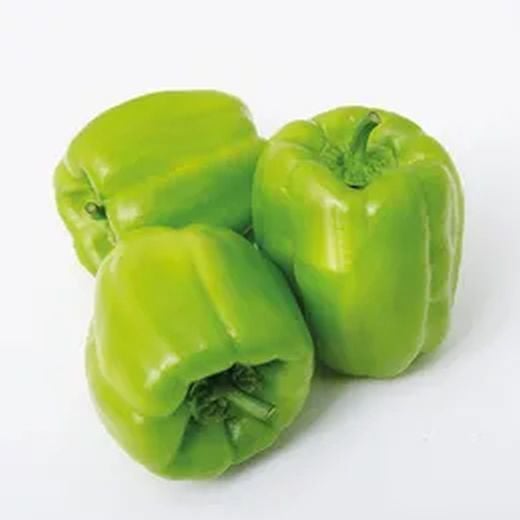 Dolmalık Biber Tohumu - 100 Adet