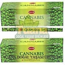 Tütsü Cannabis