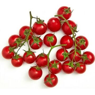 Çeri Domates Tohumu 100 Adet