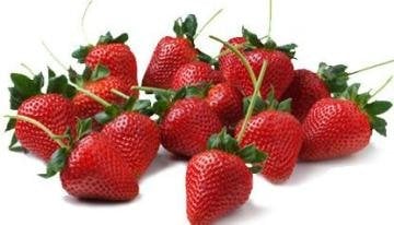 Yediveren Çilek Tohumu 25 Adet