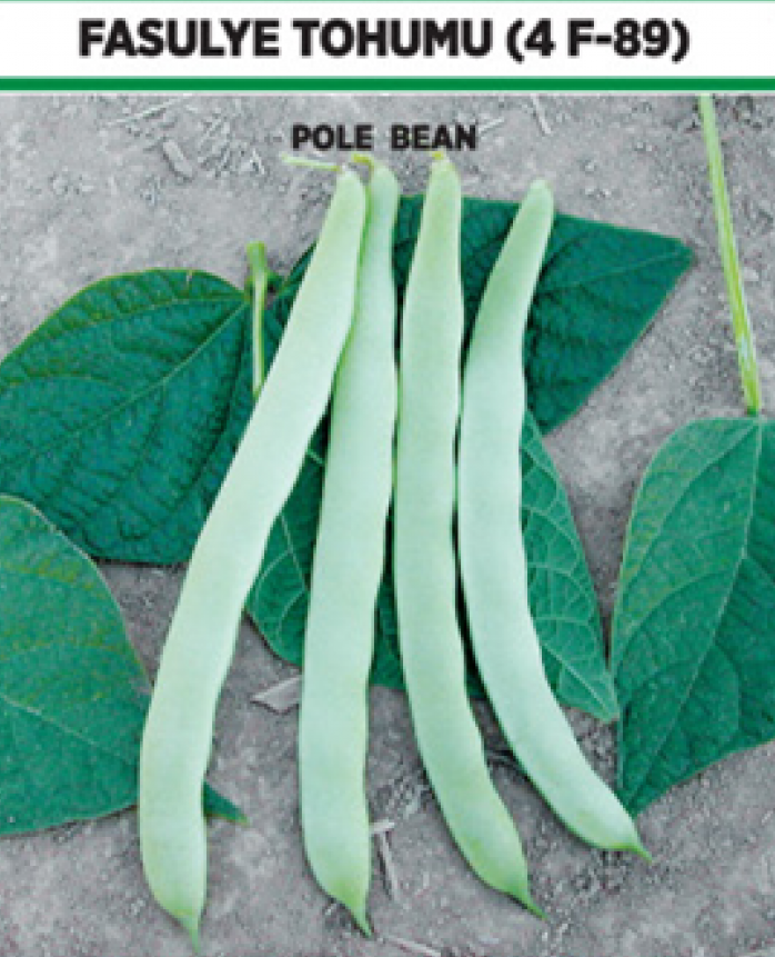 Ziraat Ayşe Fasulye Tohumu