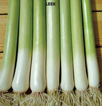 Pırasa Tohumu İnegöl (100 tohum)