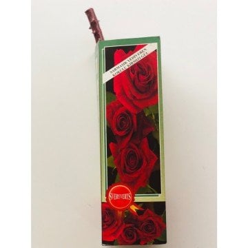 Kırmızı Sarmaşık Gül Fidanı Kokulu Tüplü