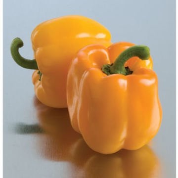 Sarı Renkli Dolmalık Biber Tohumu 10 Adet