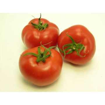 H-2274 Domates Tohumu 100 Adet