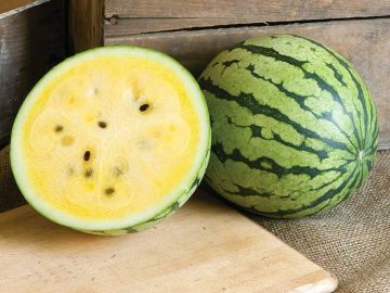 Sarı Karpuz Tohumu 10 Adet