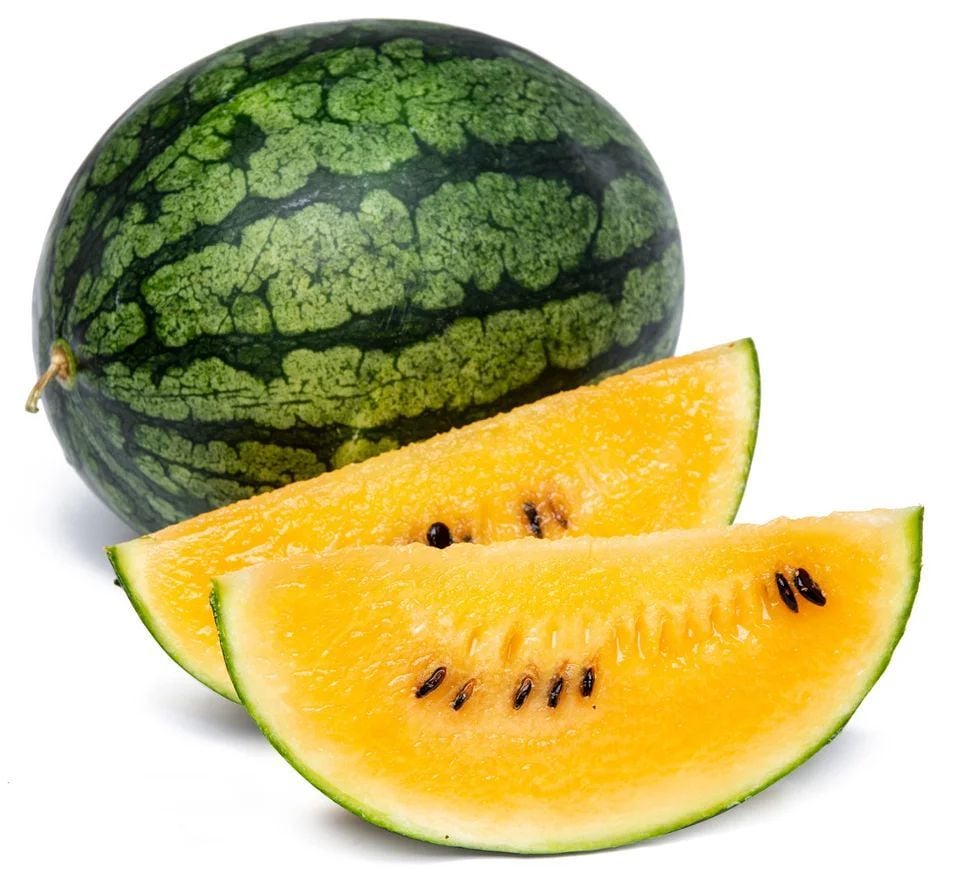 Sarı Karpuz Tohumu 10 Adet