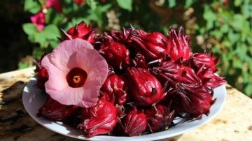 Hibiskus Tohumu ( Hibiscus sabdariffa )