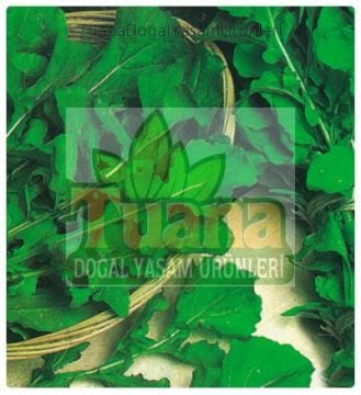 Roka Tohumu 100 Adet