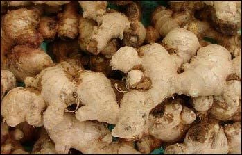 Zencefil Kök Kuru 1 KG